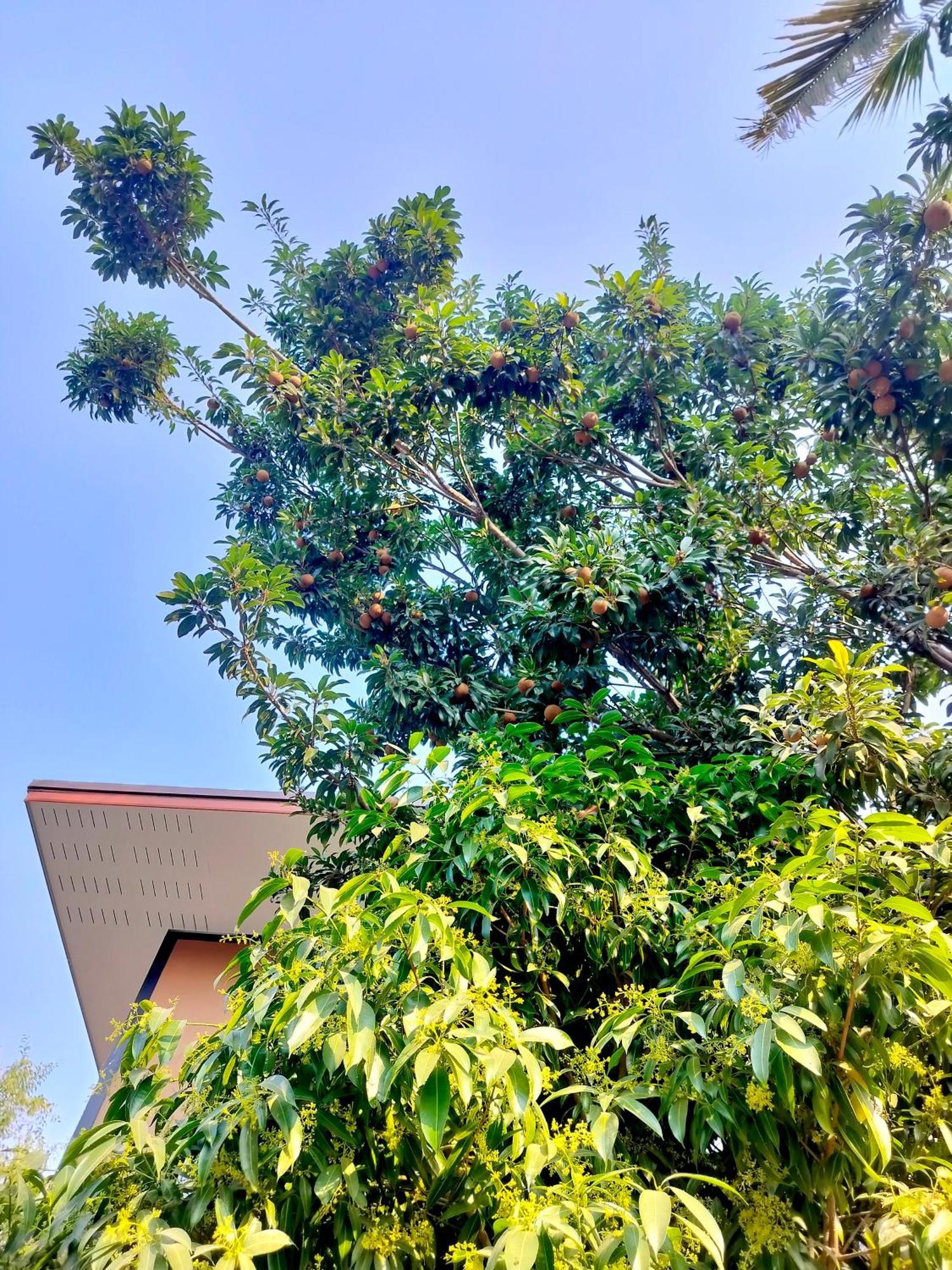 Oldy De Garden Aparthotel Chiang Mai Exterior foto